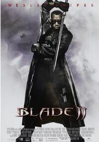 电影：刀锋战士2