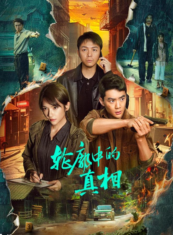 电影：轮廓中的真相