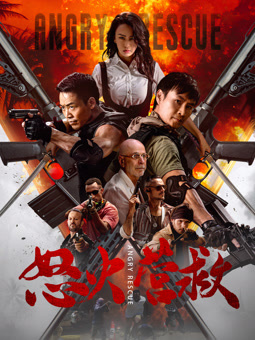 电影:怒火营救