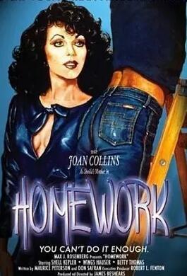 电影：家庭作业1982