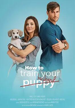 电影：如何挑选你的第二任丈夫