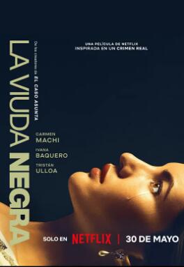 电影：寡妇游戏