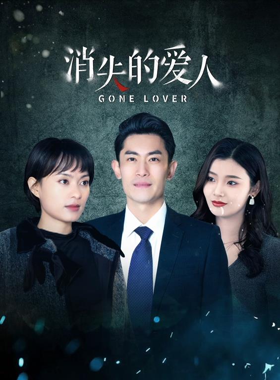 电影：消失的爱人2025