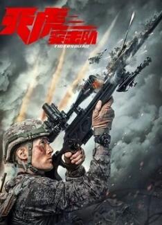 电影：天虎突击队