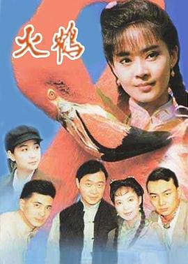 电影：火鹤