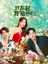 电影：对不起，我磕到你了