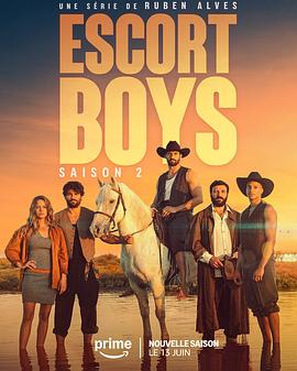 电影：应召男郎第二季