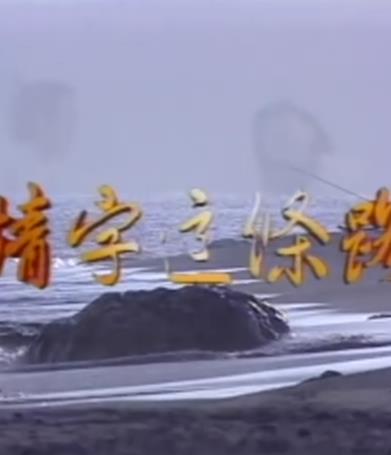 电影：情字这条路