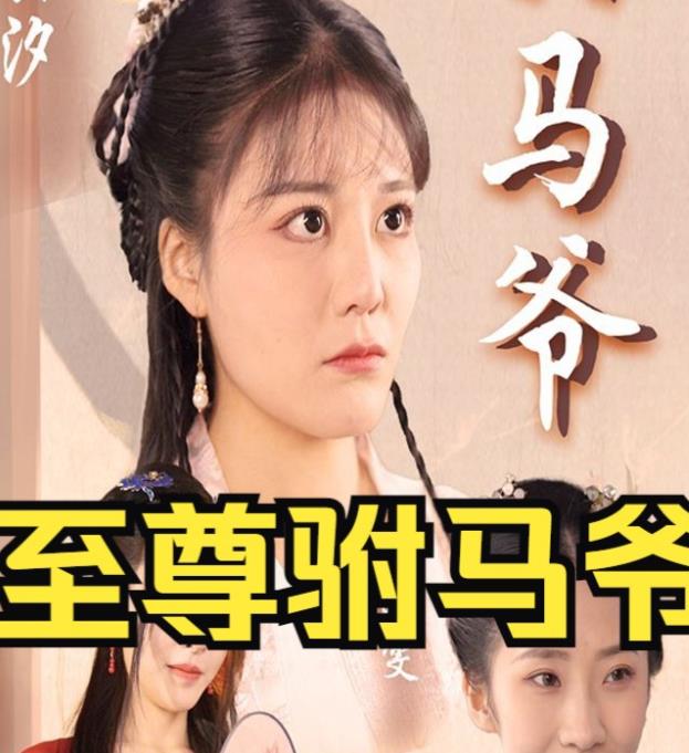 电影：至尊驸马爷