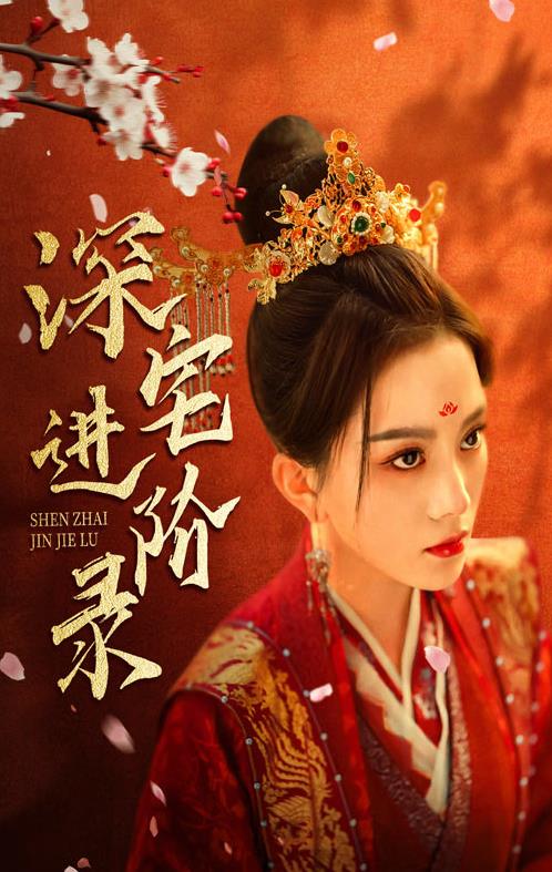 电影：深宅进阶录