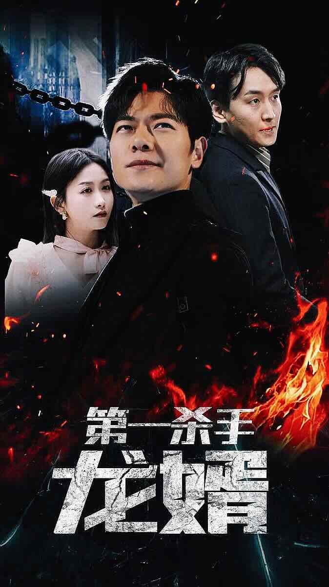 电影:第一杀手龙婿