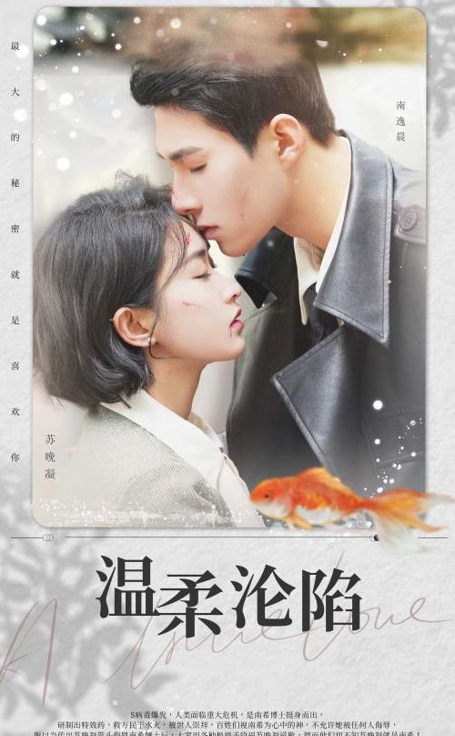 电影：温柔沦陷