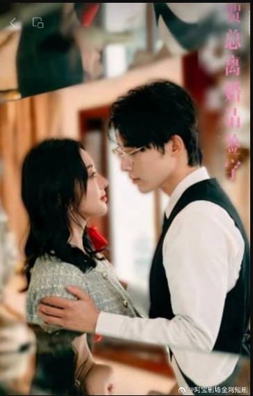 电影：贺总离婚请签字