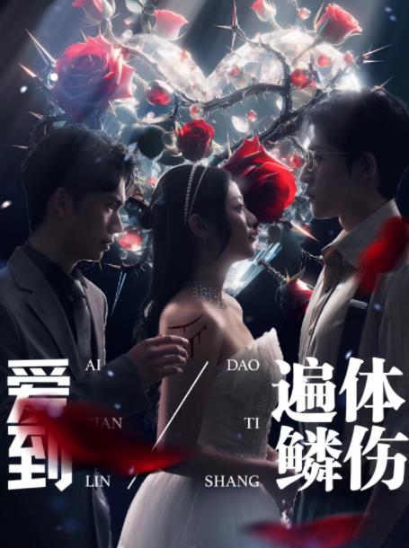 电影：爱到遍体鳞伤