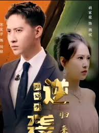 电影：逆袭刘公子归来