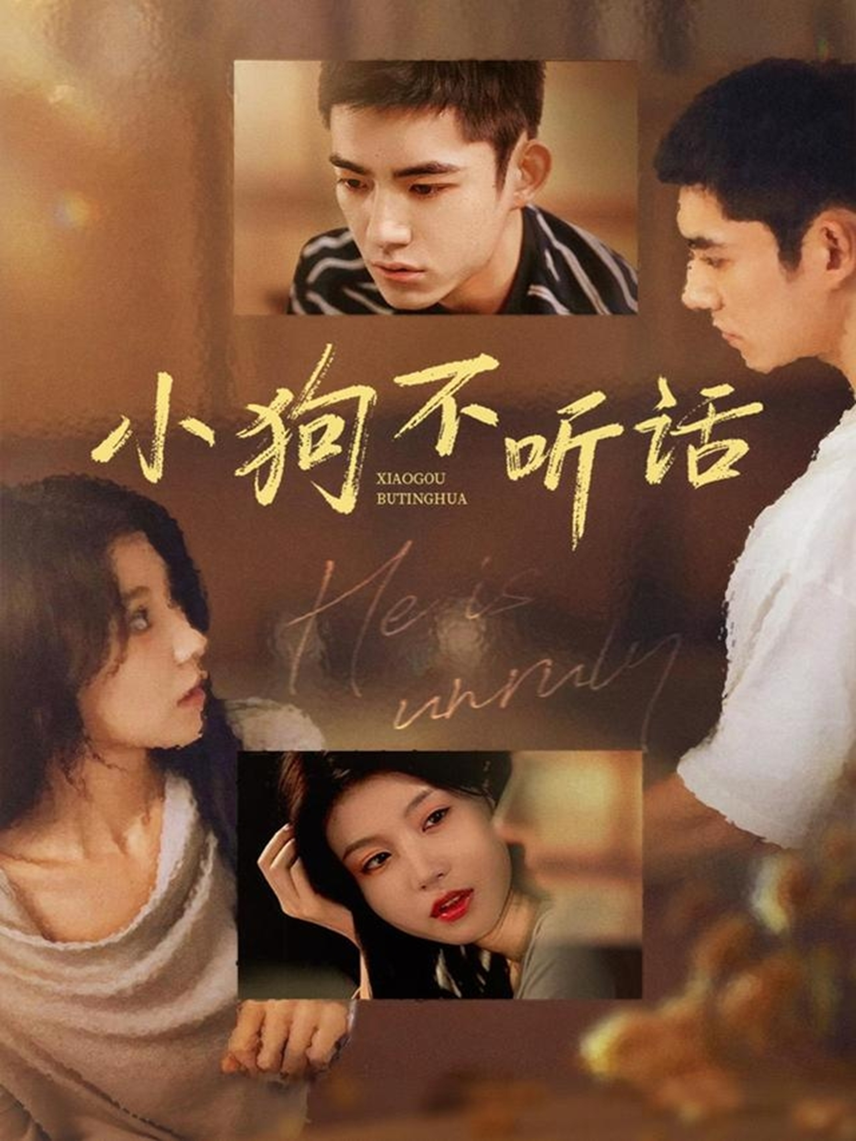 电影：小狗不听话