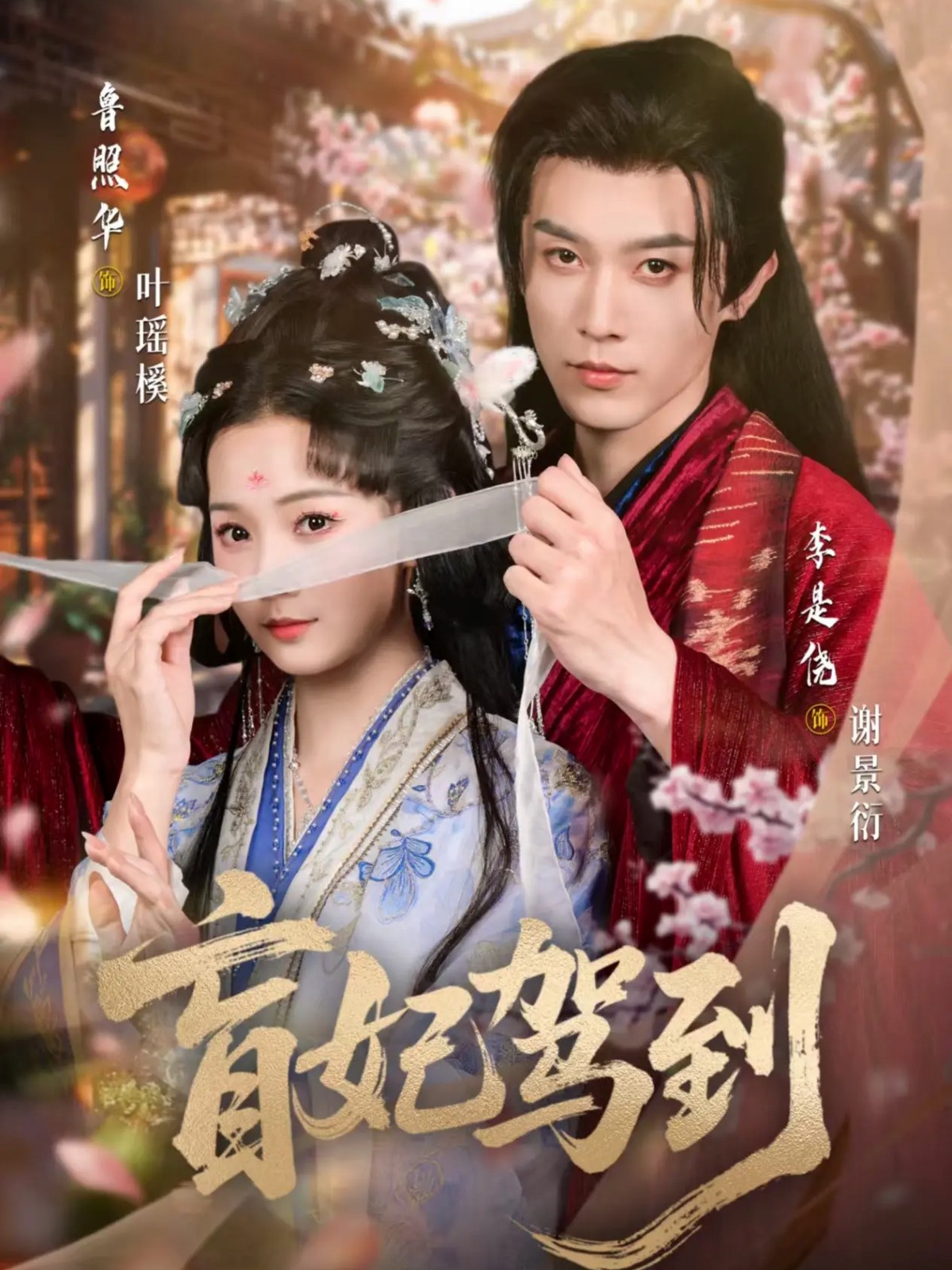 电影：盲妃驾到