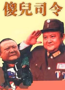 电影:傻儿司令