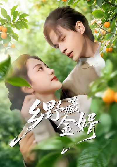 电影：乡野藏金婿