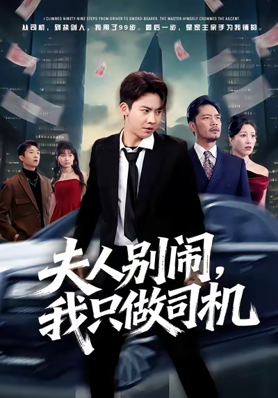 电影：夫人别闹我只做司机