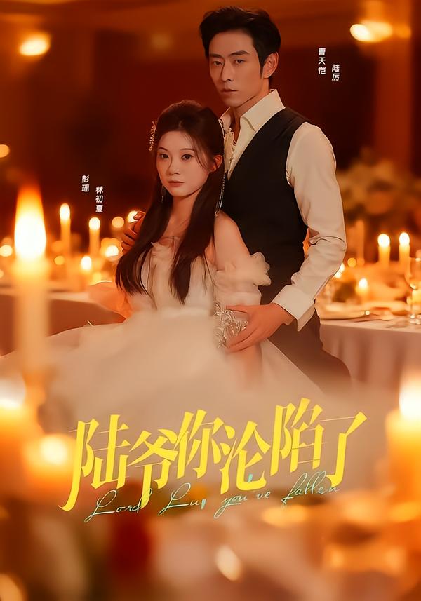 电影：陆爷你沦陷了