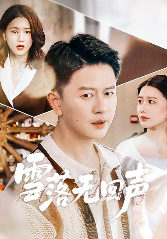 电影：雪落无回声