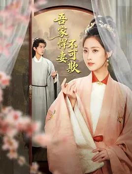 电影：吾家悍妻不可欺