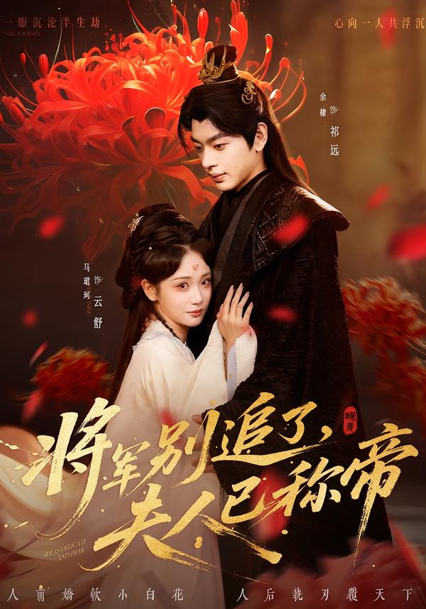 电影：将军别追了，夫人已称帝