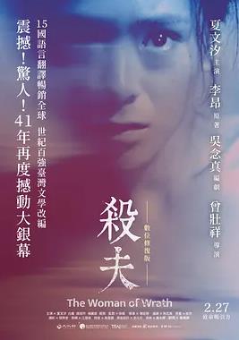 电影：杀夫