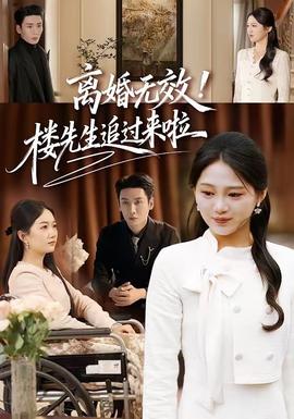 电影：离婚无效！楼先生追过来啦