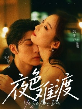 电影：夜色难渡
