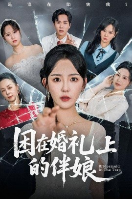 电影：困在婚礼上的伴娘