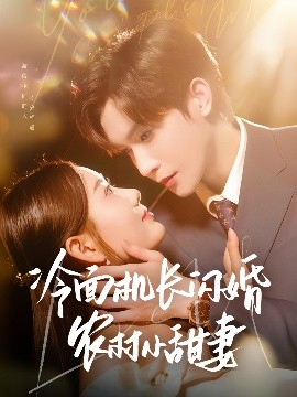 电影：冷面机长闪婚农村小甜妻