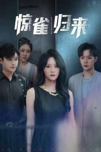 电影：惊雀归来