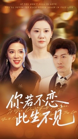 电影：你若不恋此生不见