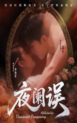 电影：夜阑误