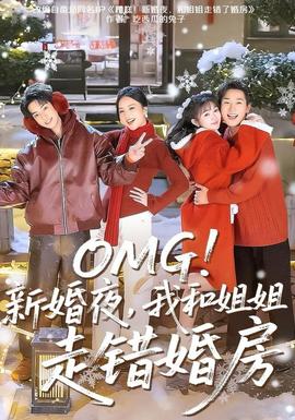 电影：新婚夜，我和姐姐走错婚房