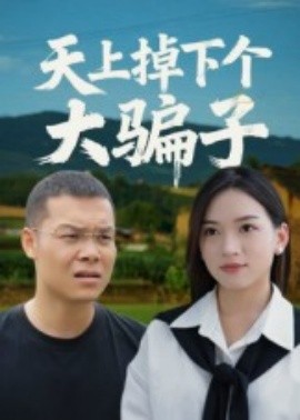 电影：天上掉下个大骗子