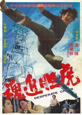 电影:虎追魂