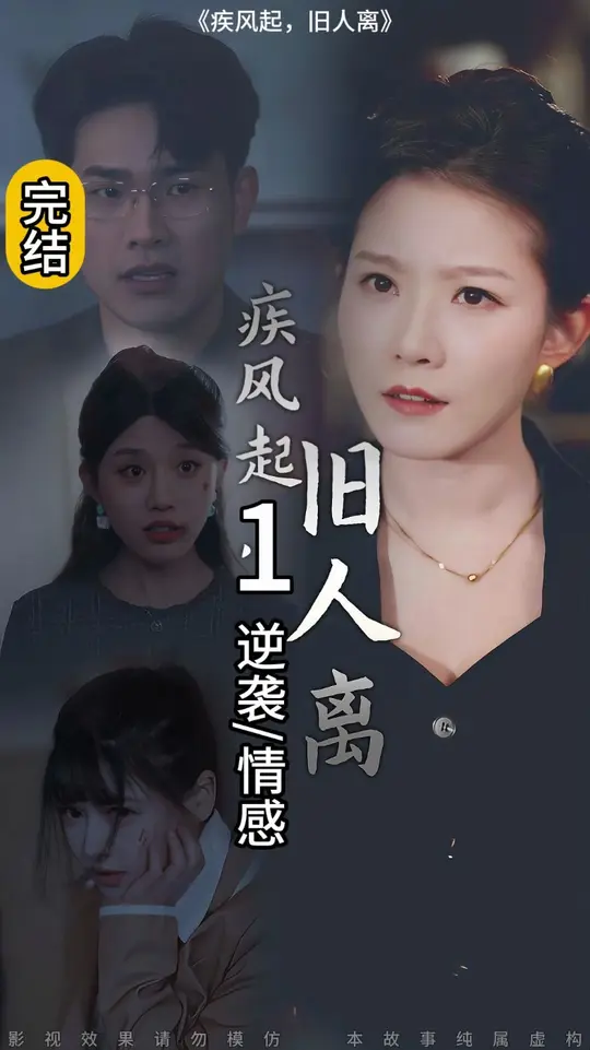 电影：疾风起旧人离