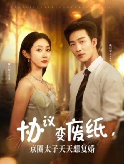 电影：协议变废纸，京圈太子天天想复婚