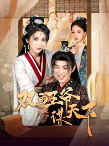 电影：双面王爷谋天下