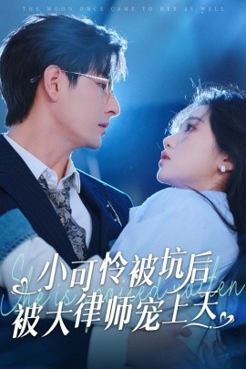 电影：小可怜被坑后被大律师宠上天