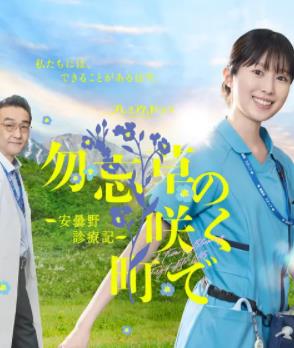 电影:在勿忘草盛开的城镇~安昙野诊疗记~